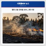 첼란 산불 진화율 20%…1명 사망