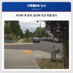 타코마 개 공격 임산부 조산 위험 증가