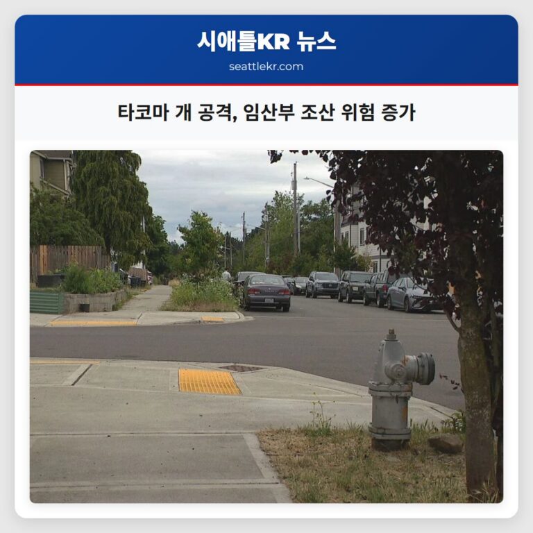 타코마 개 공격 임산부 조산 위험 증가