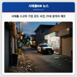 시애틀 소규모 기업 강도 사건 17세 용의자 체포