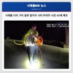 시애틀 다리 구리 절취 혐의자 시티 라이트 사칭 47세 체포