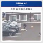 타코마 임산부 개 공격 강제 출산