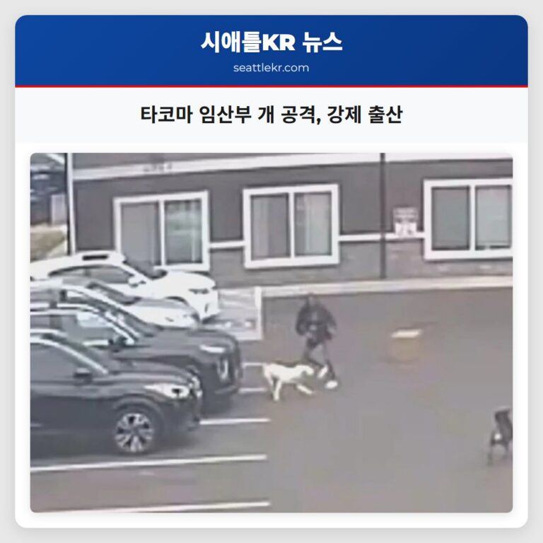 타코마 임산부 개 공격 강제 출산