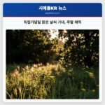 독립기념일 맑은 날씨 기대 주말 쾌적