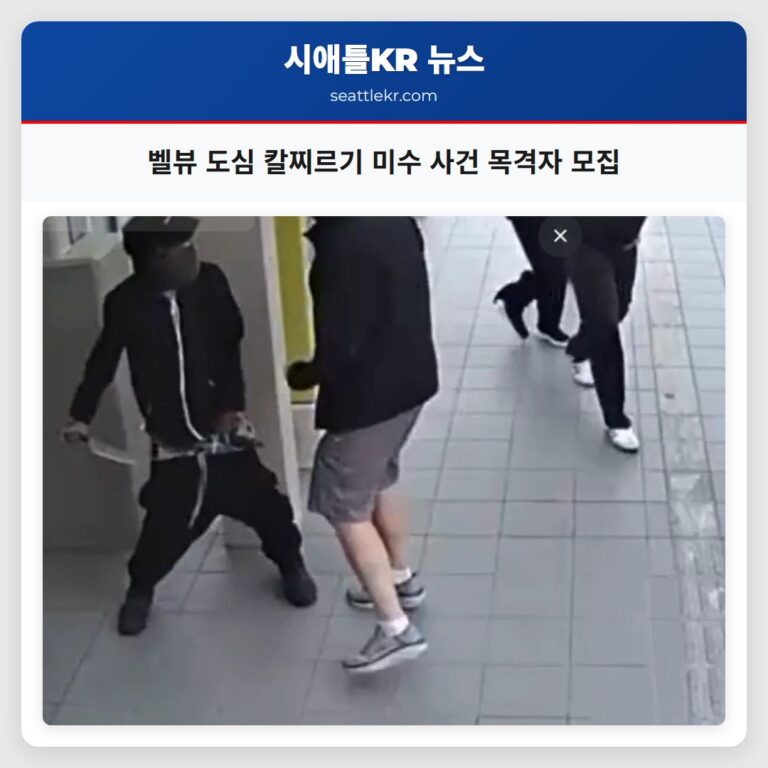 벨뷰 도심 칼찌르기 미수 사건 목격자 모집